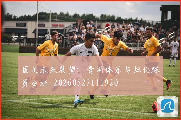 国足未来展望:青训体系与归化球员分析_20260527111920