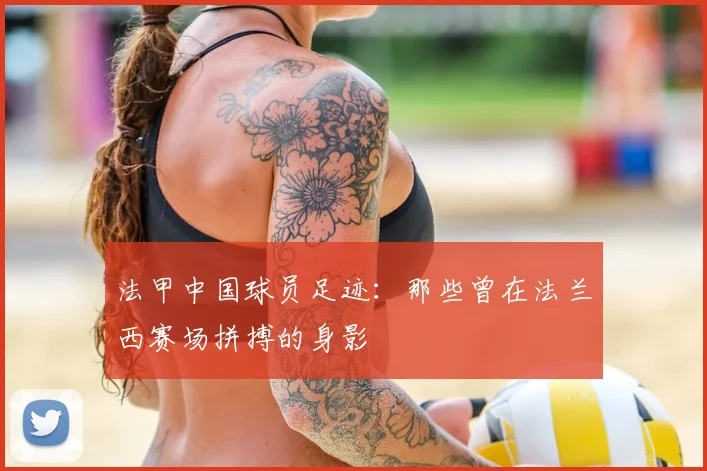 法甲中国球员足迹:那些曾在法兰西赛场拼搏的身影