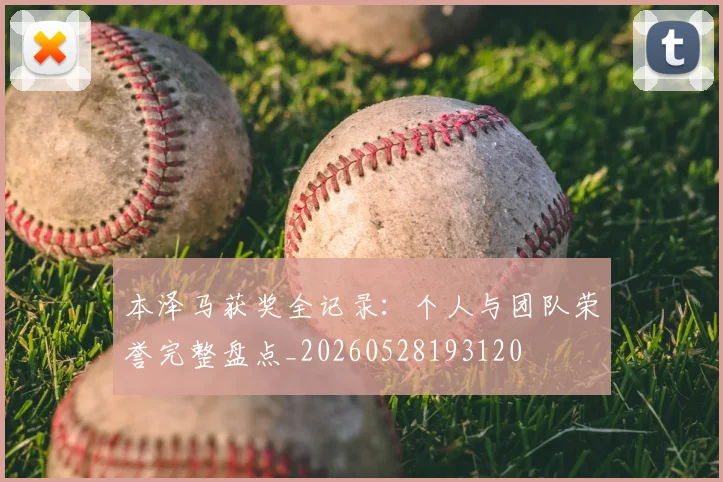 本泽马获奖全记录：个人与团队荣誉完整盘点_20260528193120