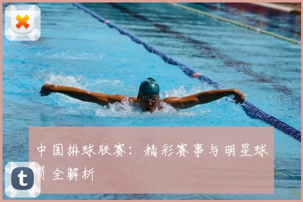 中国排球联赛:精彩赛事与明星球员全解析