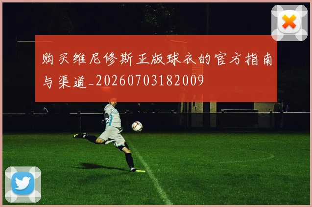 购买维尼修斯正版球衣的官方指南与渠道_20260703182009
