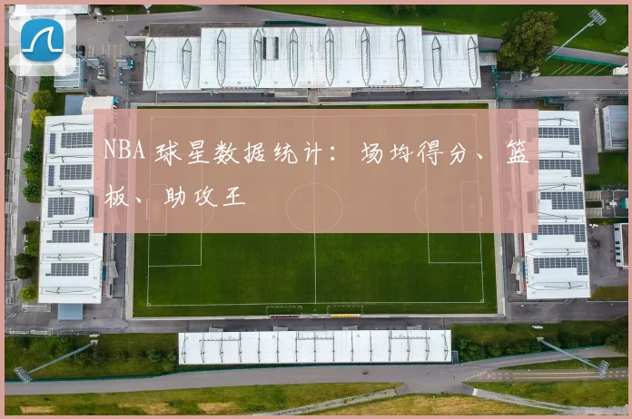 NBA 球星数据统计:场均得分、篮板、助攻王