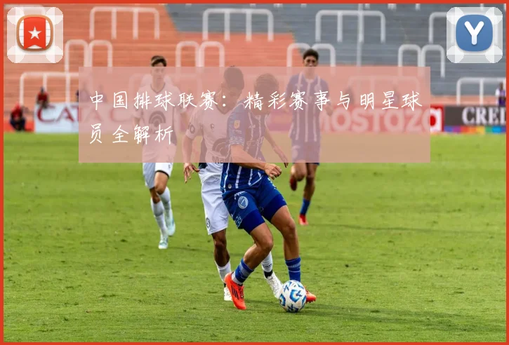 中国排球联赛：精彩赛事与明星球员全解析