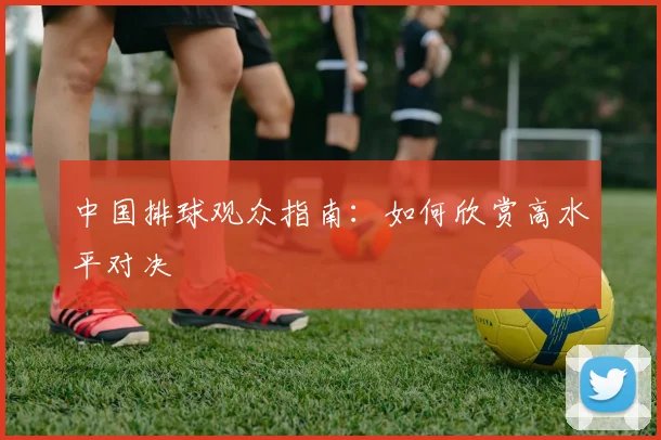 中国排球观众指南:如何欣赏高水平对决