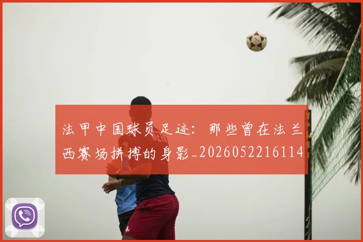 法甲中国球员足迹:那些曾在法兰西赛场拼搏的身影_20260522161146